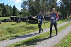 Laitumella Vapolan komeaa karjaa sekä Antti ja MS Parman Mika.
