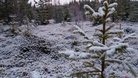 Talvellakin voi maastoissa suunnistella jokamiehenoikeuden mukaan, olipa maisemissa lunta tai sitten ei.
