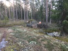 Kuvituskuva_Salmenlumetta