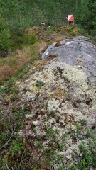 Kaikki SM-rastit tältä vuodelta on nyt etsitty ja menestyksellä löydetty.