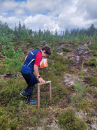 Alueen mestari-Maija Kainuun erilaisessa erämaassa heinäkuussa. (Kuva: KRV).