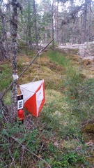 Tule mukaan rastien etsintään ja muuhun toimintaan myös juhlavuonna 2022 !