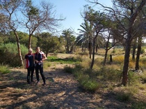 Metsän puut olivat enimmäkseen mäntyjä ja palmuja.