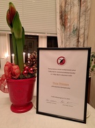 Illan päätteeksi jouluista studiokuvausta...